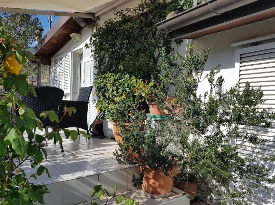 B&B Dei Doria & Suite Dolceacqua Ngoại thất bức ảnh